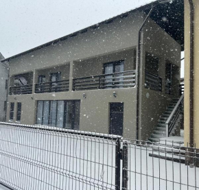Casa La Poalele Pietrosului